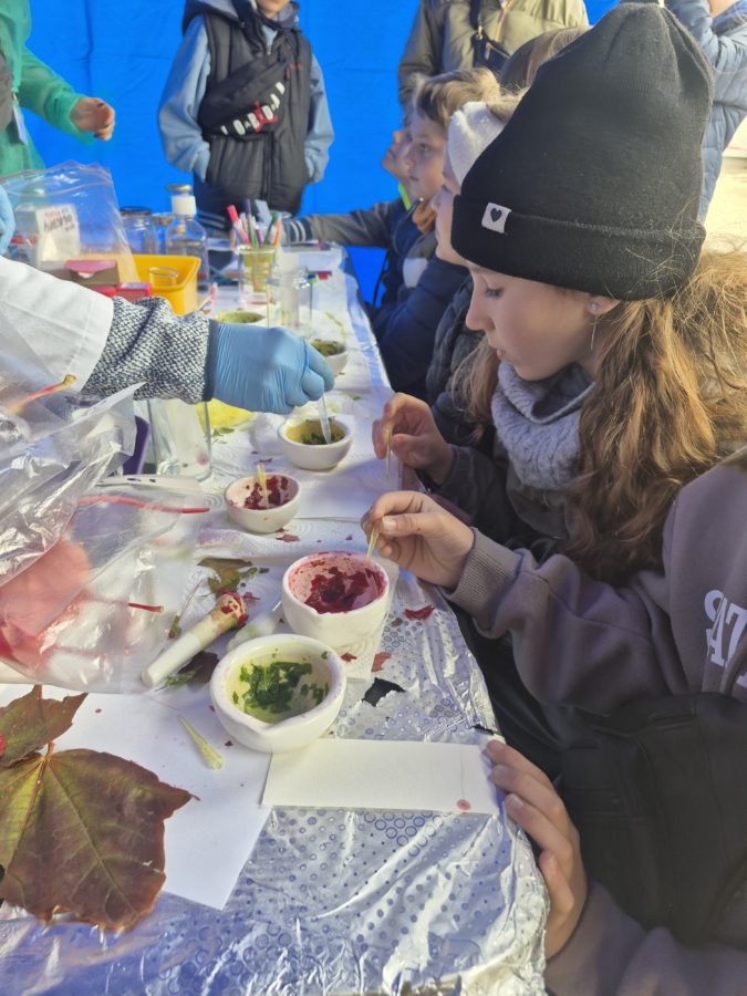 piknik11