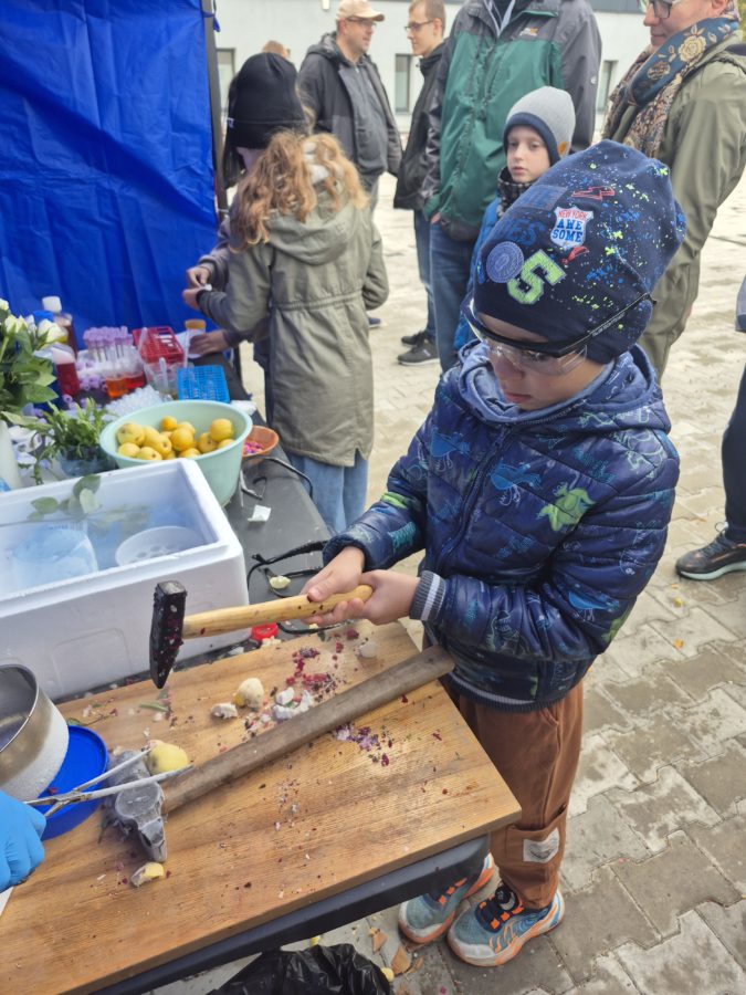 piknik7