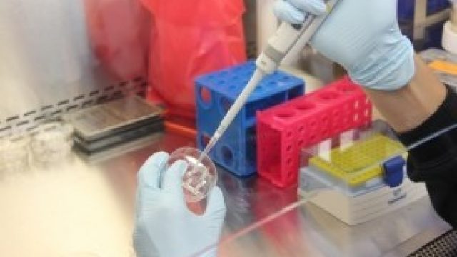 Planowane uruchomienie pracowni inżynierii genetycznej w Zakładzie Biologii Molekularnej NIGRiR